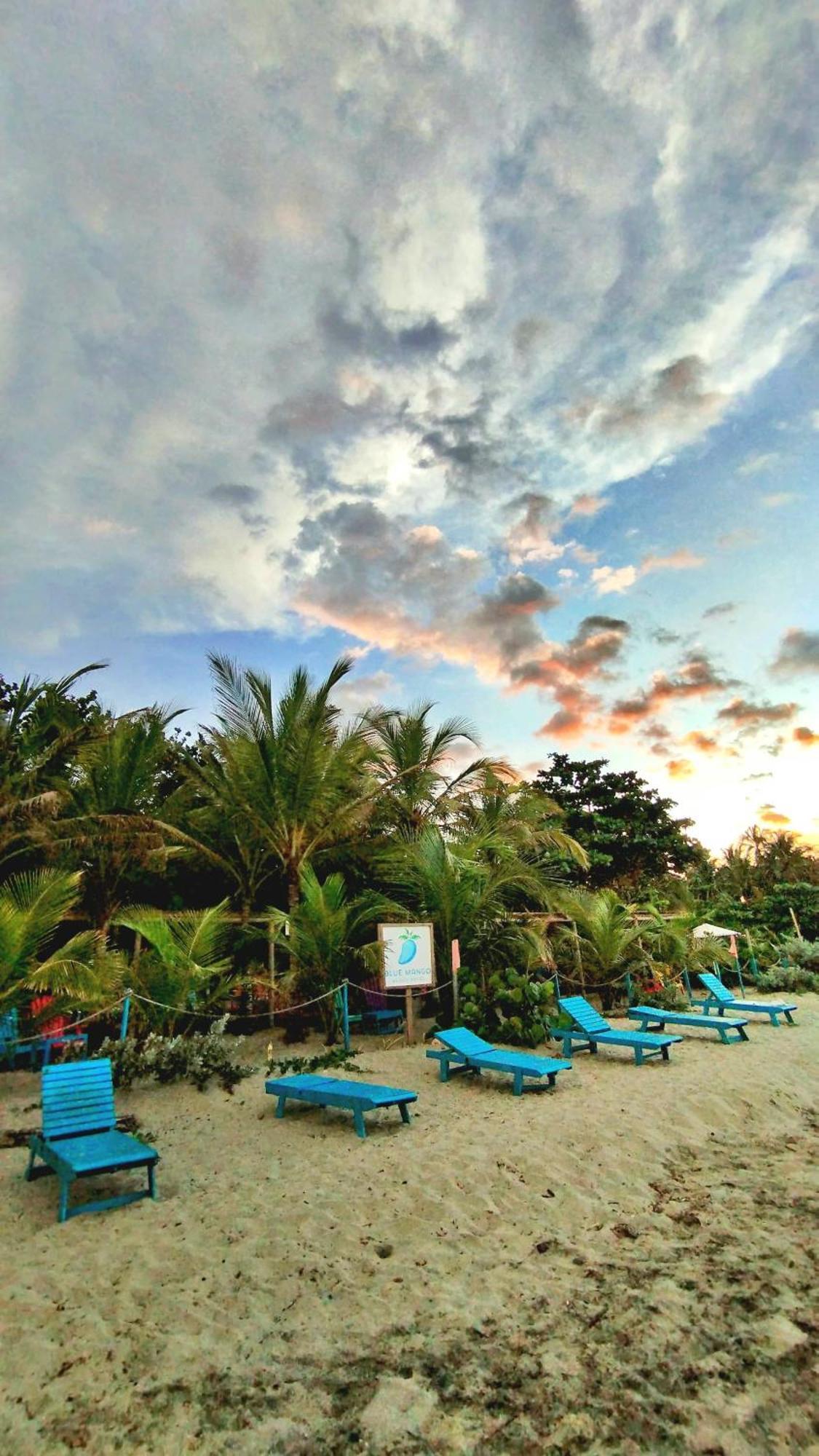 Blue Mango Beach Hotel Guachaca Bagian luar foto